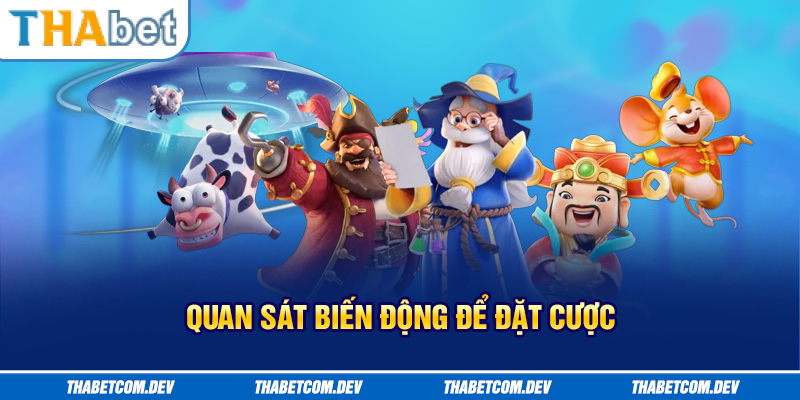 Quan sát biến động để đặt cược