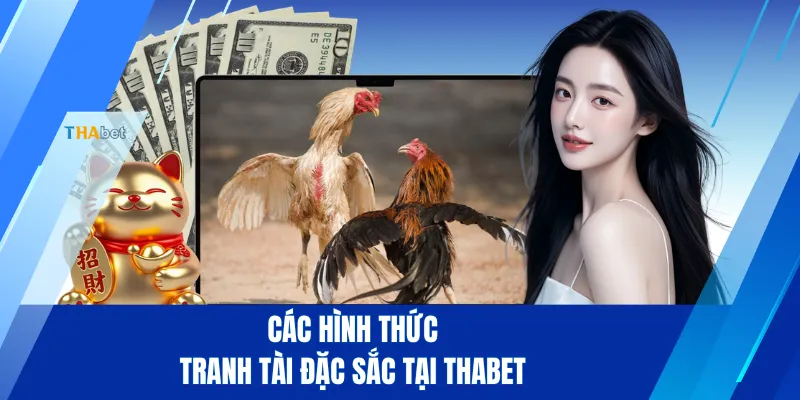 Các hình thức tranh tài đặc sắc tại THABET