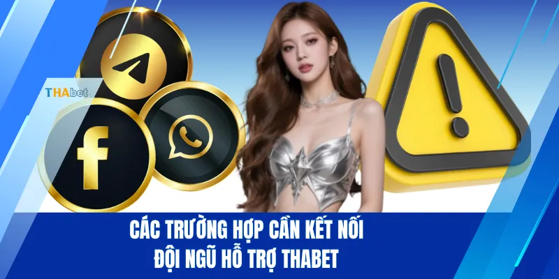 Các trường hợp cần kết nối đội ngũ hỗ trợ THABET